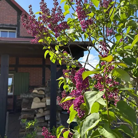 Kaszubska Oaza Villa *