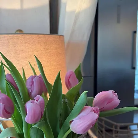 Kaszubska Oaza Villa *