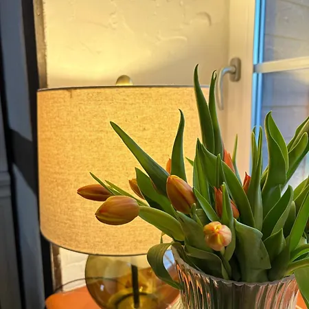 Villa Kaszubska Oaza Garczyn