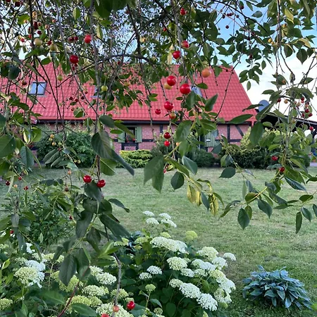 Villa Kaszubska Oaza