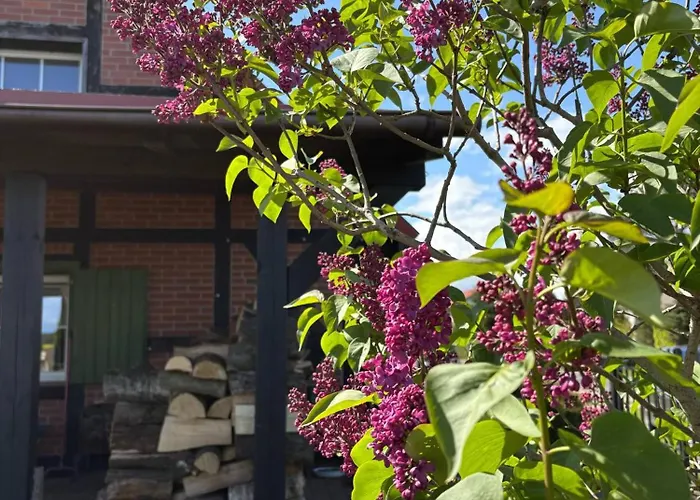 Kaszubska Oaza 빌라 *