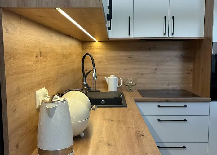 Kaszubska Oaza 빌라 *