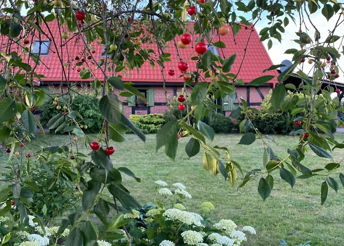 빌라 Kaszubska Oaza